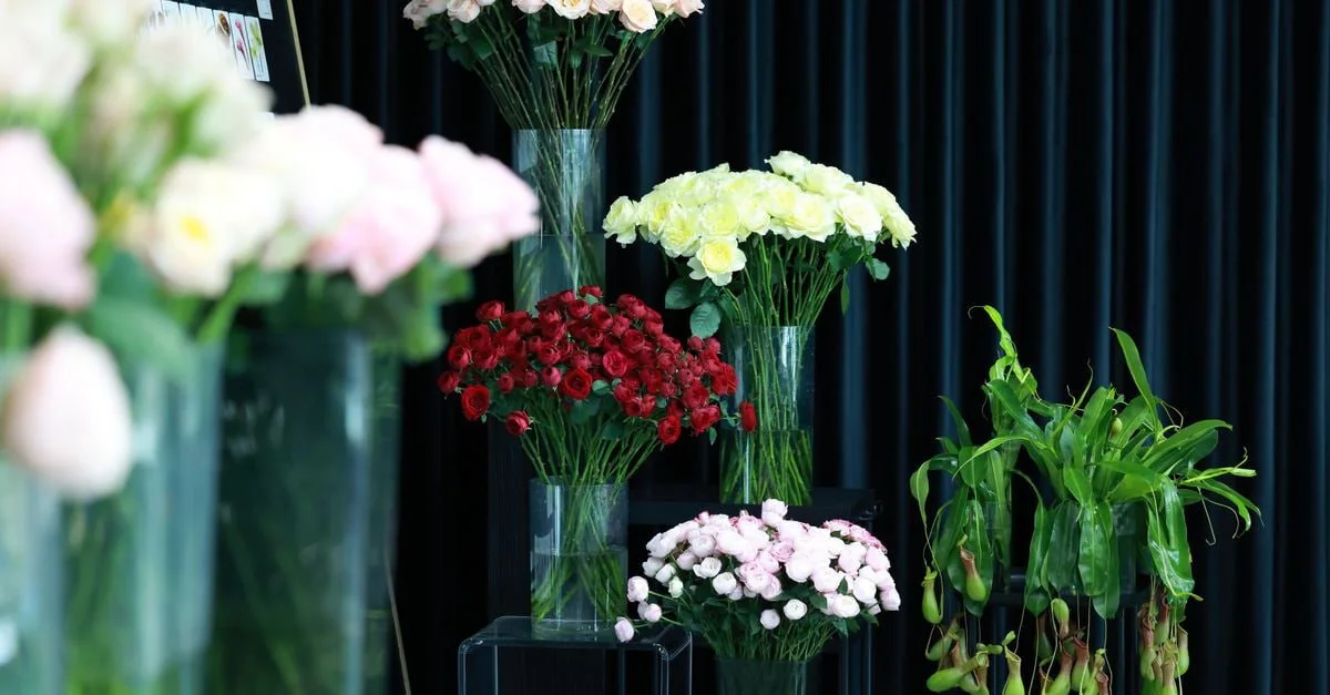 Colorful flower arrangements displayed in glass vases against a dark backdrop